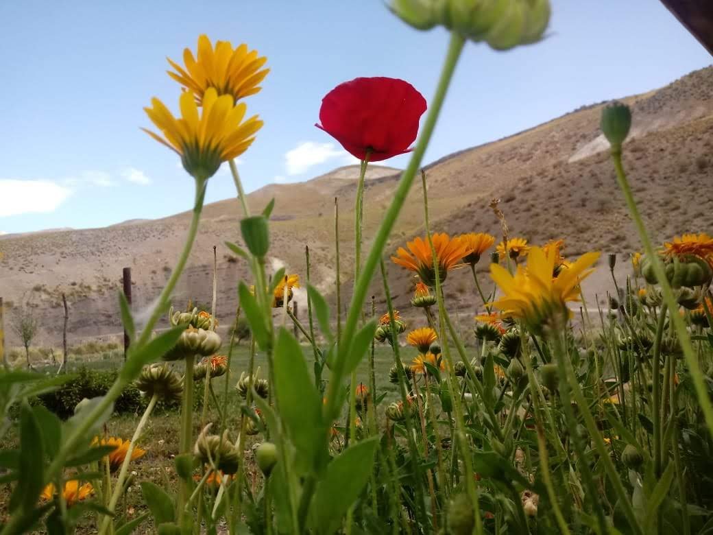 Trekking Potimalal